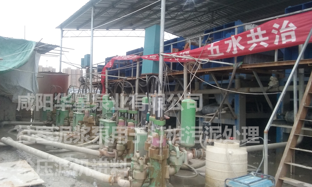 陶瓷柱塞泵說(shuō)明書